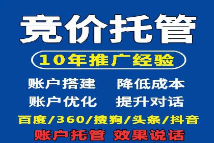 SEM推广公司成功案例：助力企业实现品牌多元化发展